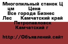  Многопильный станок Ц6 (цм-200) › Цена ­ 550 000 - Все города Бизнес » Лес   . Камчатский край,Петропавловск-Камчатский г.